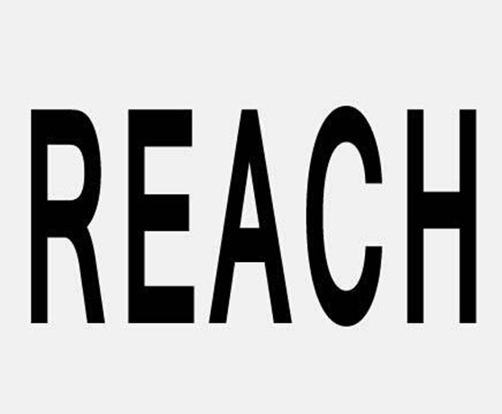 REACH检测相关知识简介
