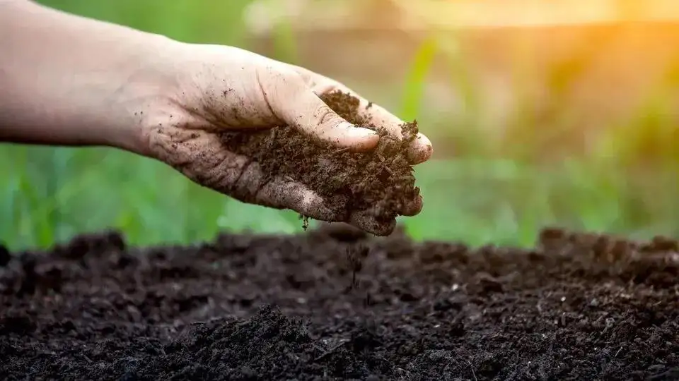 土壤检测方法及标准